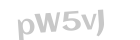 Captcha - grafischer Zugangscode